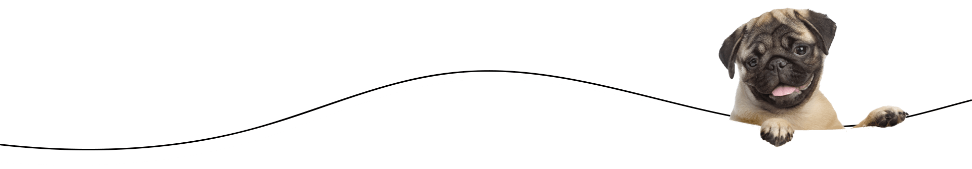 dog with paws on curved line